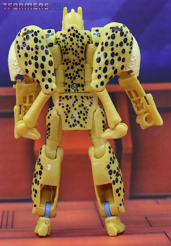 Transformers Kingdom Cheetor Wave 1 Deluxe Class  (6 of 34)